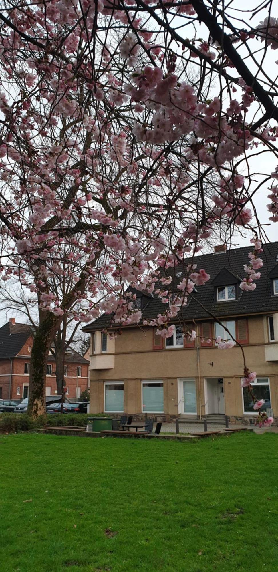 Apartment Wedau Duisburg Exterior foto